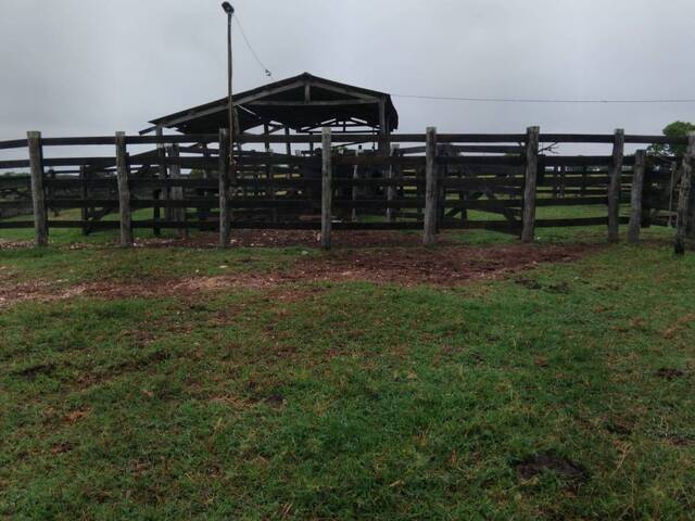 #202601 - Fazenda para Venda em Poconé - MT